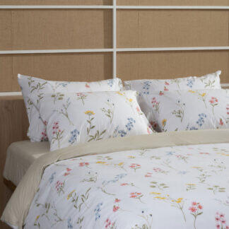 Sunshine Σετ Σεντόνια Cotton Feelings 2062 Υπέρδιπλο με λάστιχο (170x205+30) - Σετ σεντόνια βαμβακερά 100% σε μεγάλη ποικιλία χρωμάτων και σχεδίων.